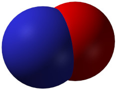 Nitrogen oxide molecule